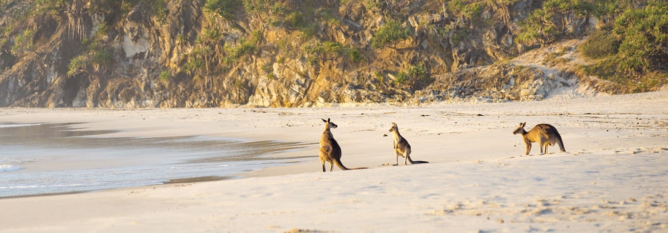visa australie