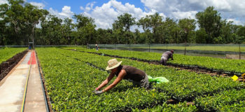 Visa Travail pour l'Australie