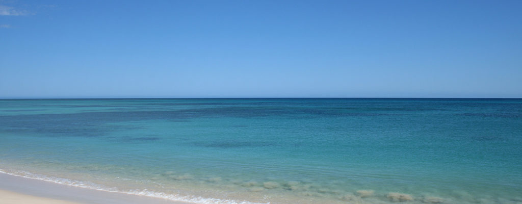 récif de Ningaloo entre Coral bay et Exmouth