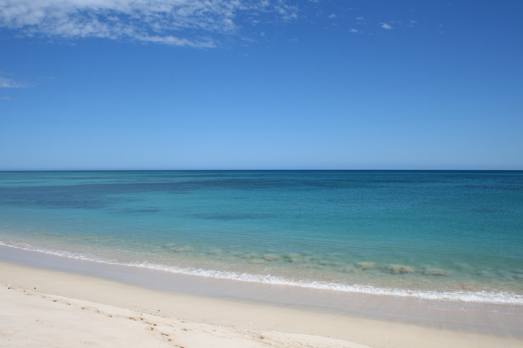 récif de Ningaloo entre Coral bay et Exmouth