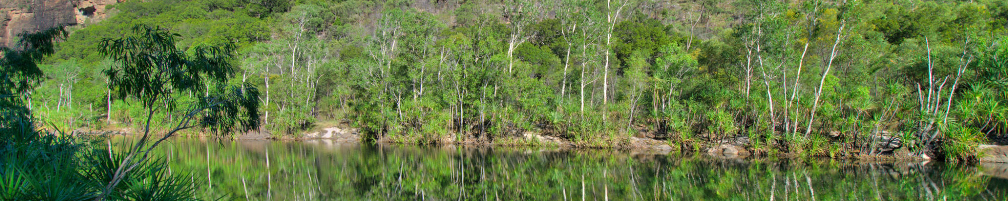 Le parc national de Kakadu