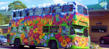 Bus de ville australien coloré avec des dessins