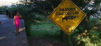 Danger crocodiles