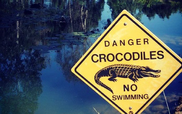 Mare avec un panneau jaune rectangulaire danger crocodiles