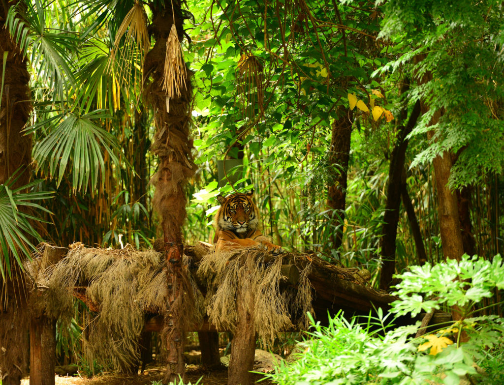 Zoo de Melbourne