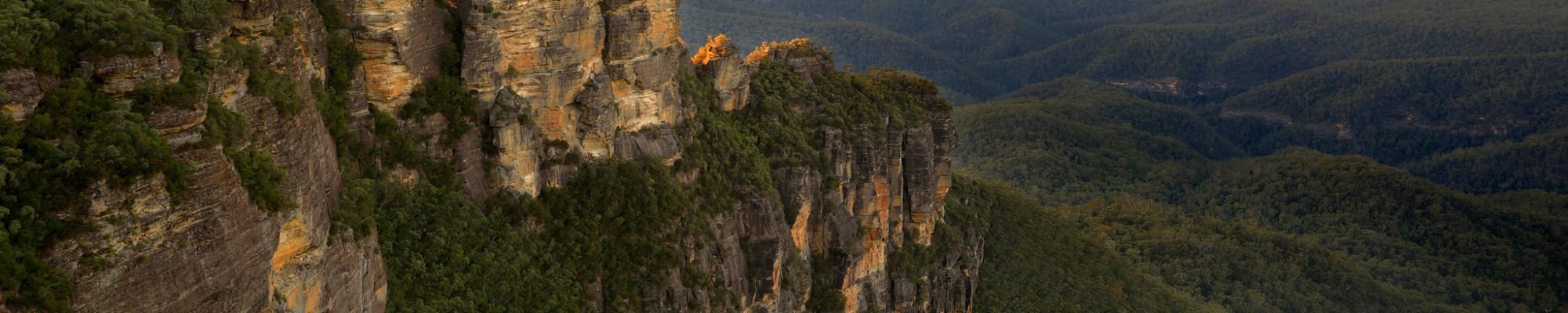 Région des montagnes Bleues en Australie