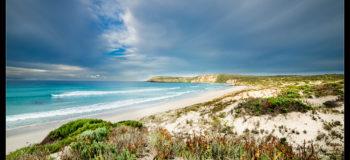 Kangaroo Island sur la Péninsule de Fleurieu