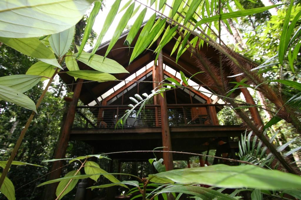 Forêt tropicale