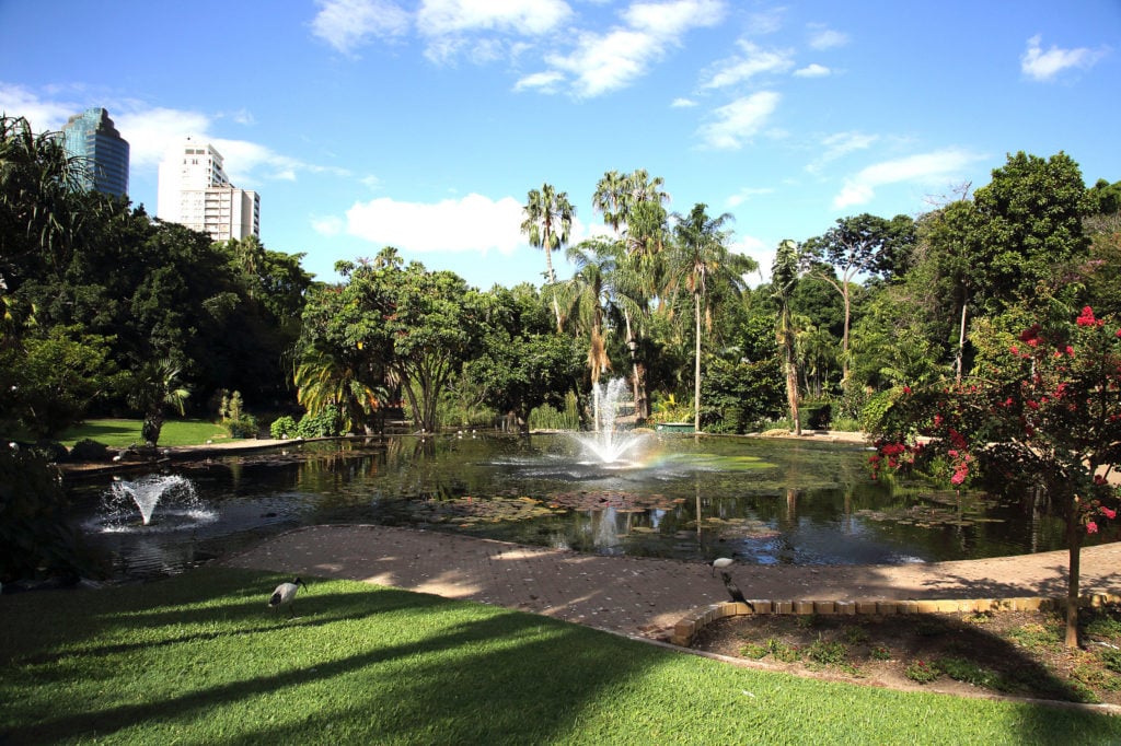 Brisbane City Botanic Garden