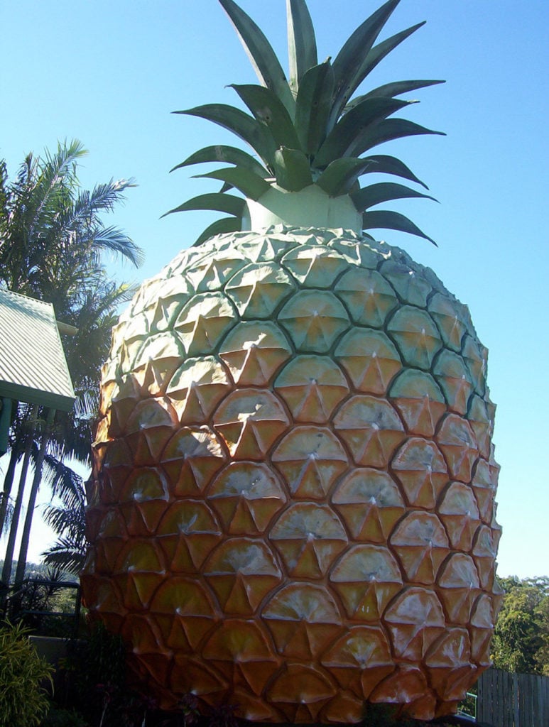 The Big Pineapple