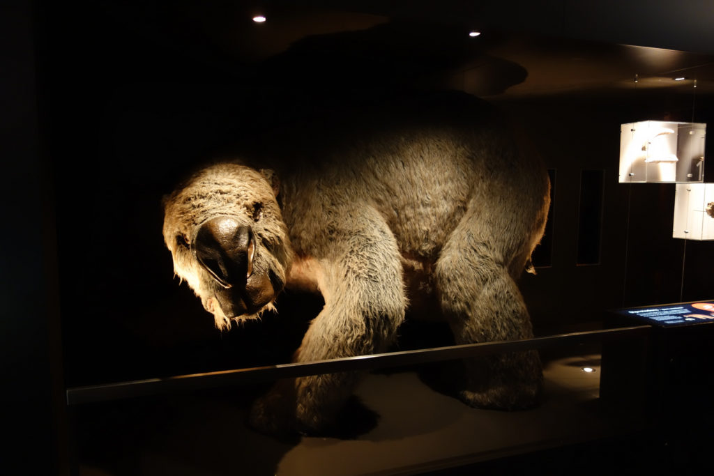 Diprotodon