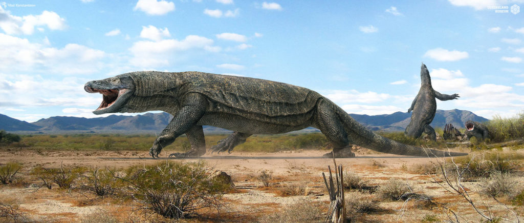 Megalania