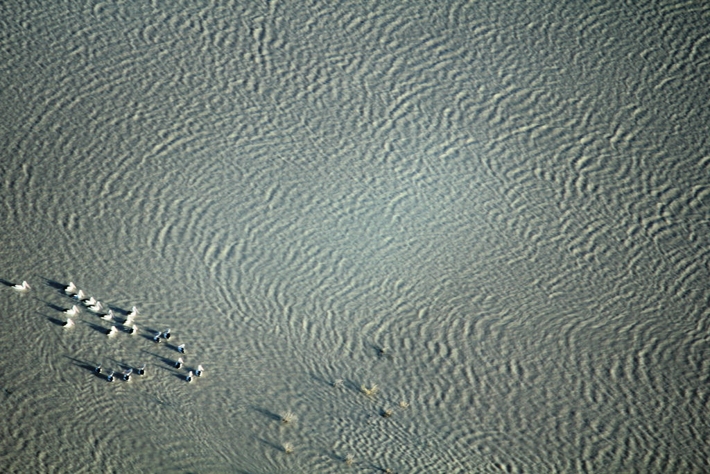 Kati Thanda–Lake Eyre dans le désert