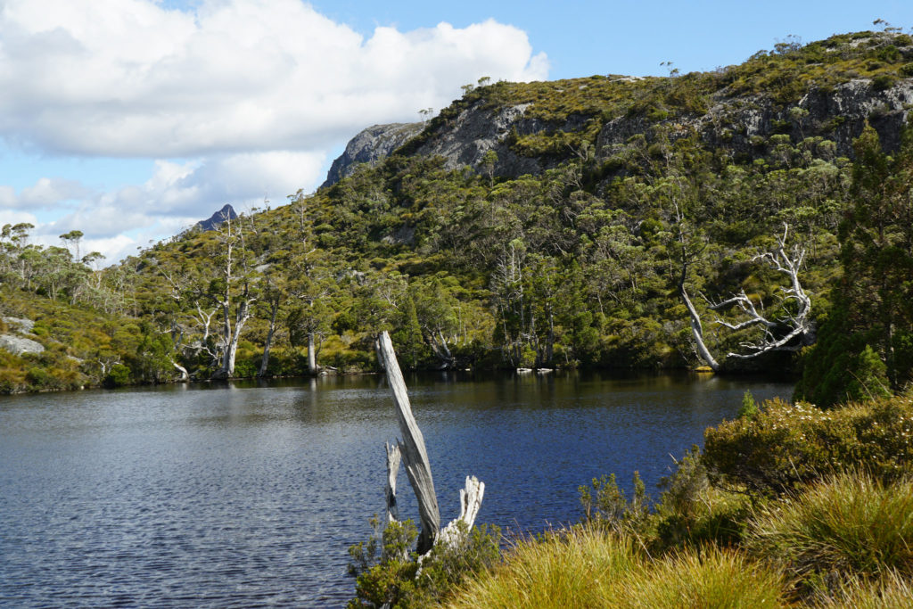 Lake St Clair en Tasmanie