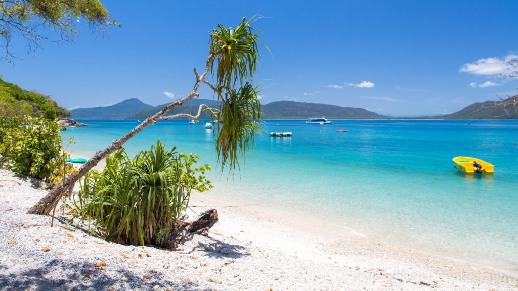 Fitzroy Island, plage déserte de sable blanc