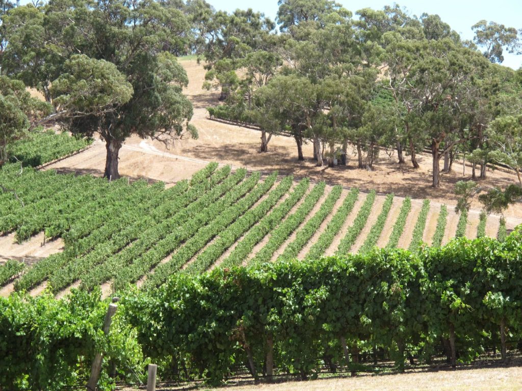 Adelaide Hills