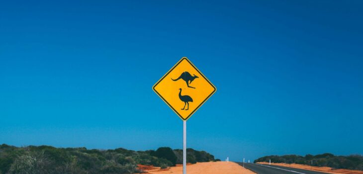 australie route panneau