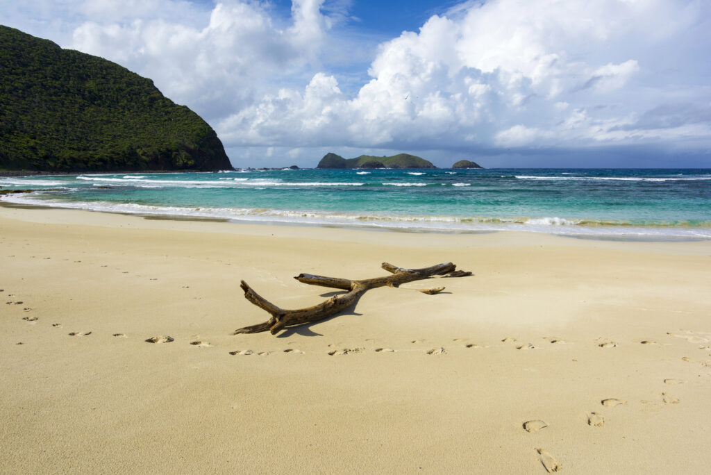 Neds Beach